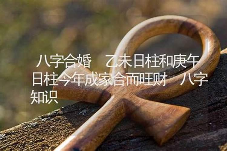 马年属兔人的运势,属兔的马年命运怎么样