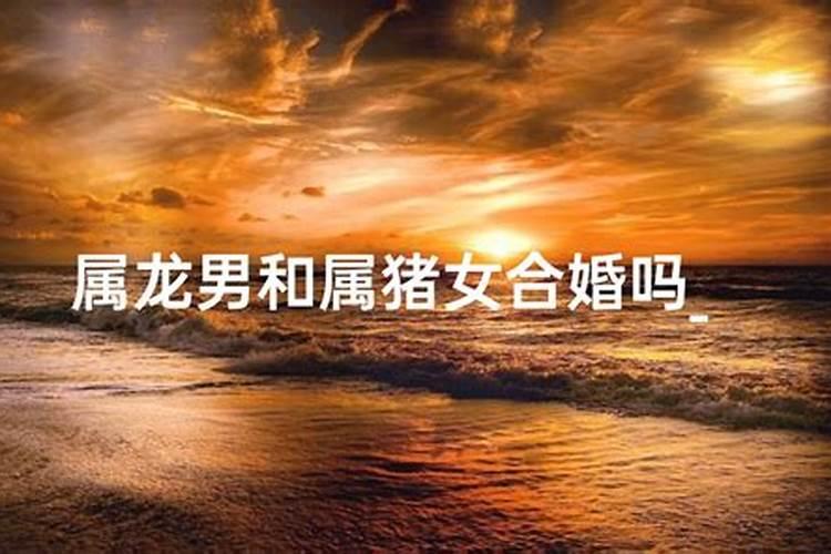 属马人出生日的命运,属马人哪天出生最好