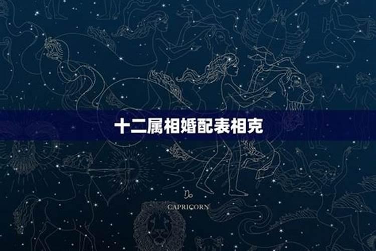 最佳夫妻属相婚配表