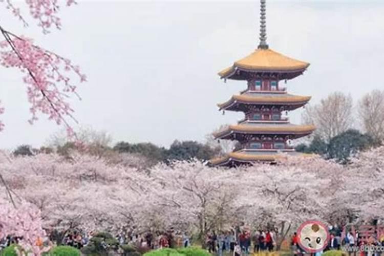 2022武汉清明节去哪里玩比较好