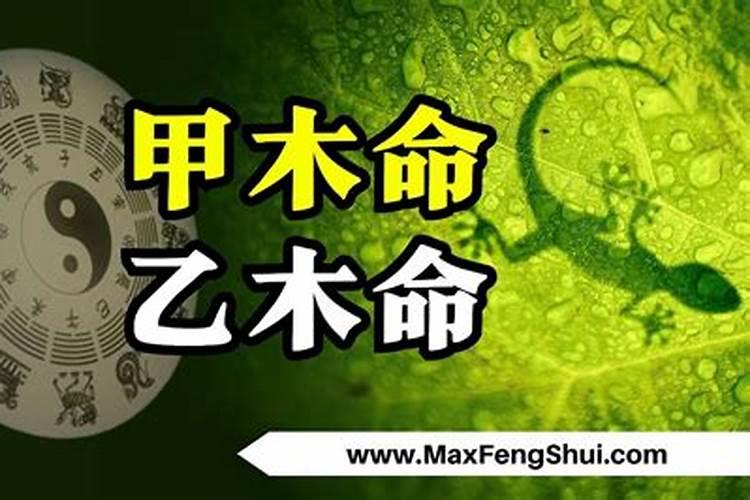 80年猴男25年有桃花运吗