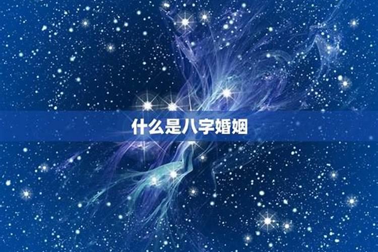 端午节与什么动物有关？
