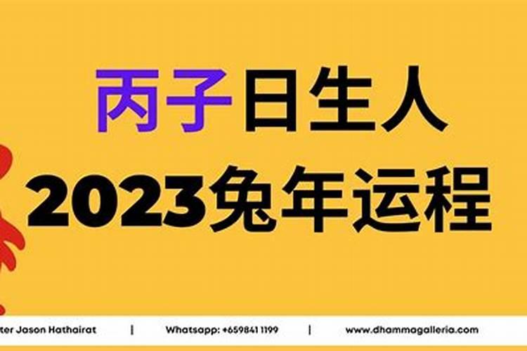 丙子日主遇丙子流年