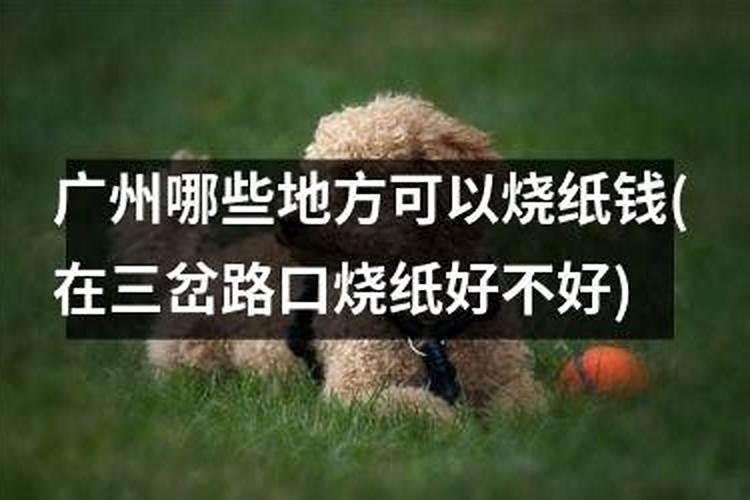 广州哪里有算命的