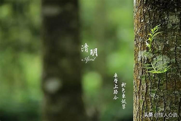 重阳节有什么讲究啊
