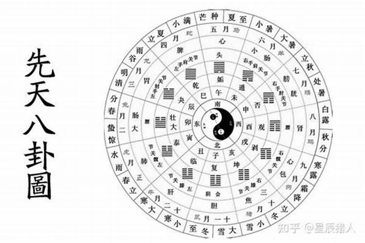 梦见跟老家的邻居聊天