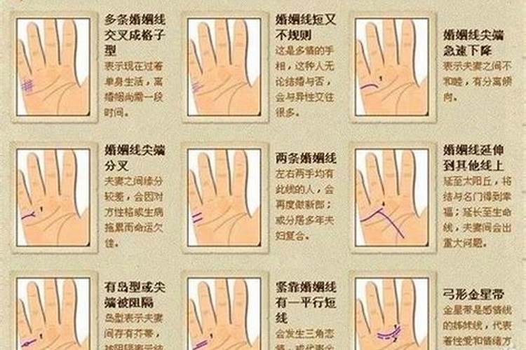 2025年属狗的犯太岁吗