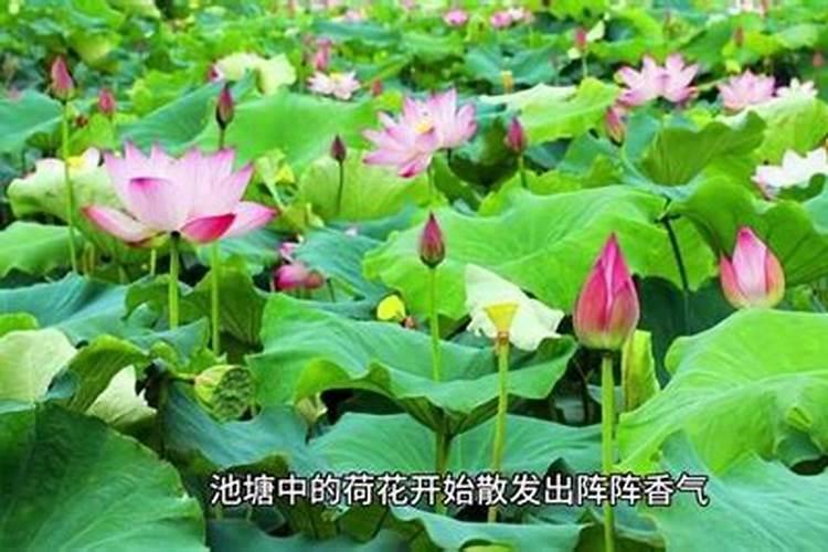 2025财神节是几月几号