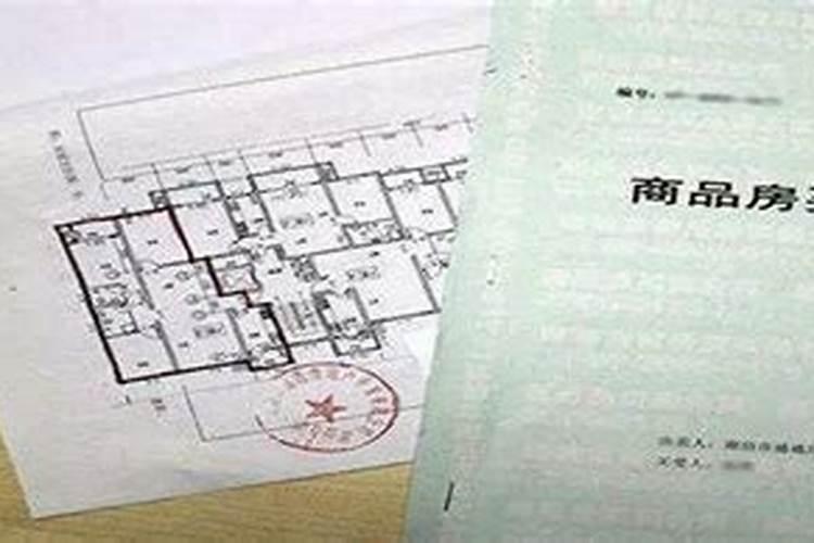 属猴女2025年全年运势运程详解