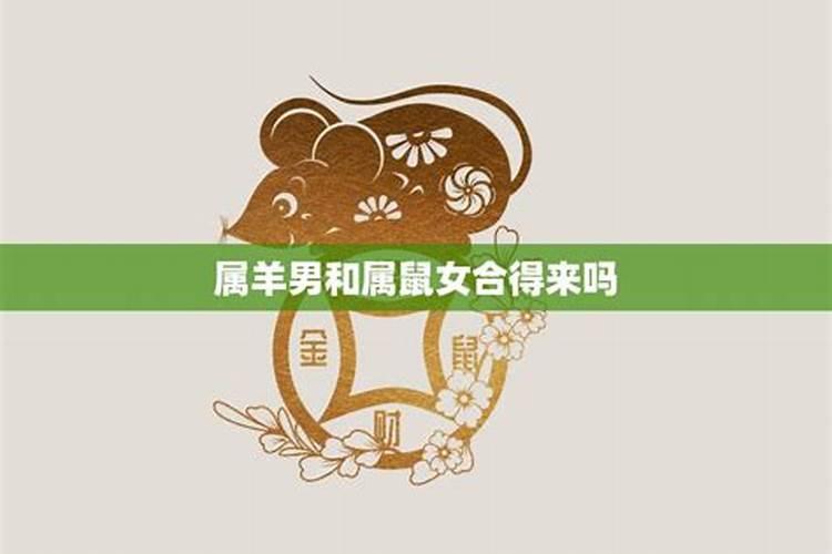 属猪的和属鼠的相配吗95猪男和96鼠女水火不容吗