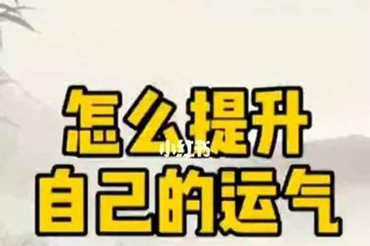 女人食神大运是什么意思？