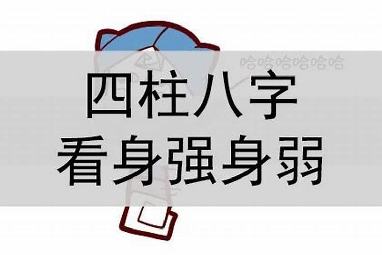属猪和属马的相配吗