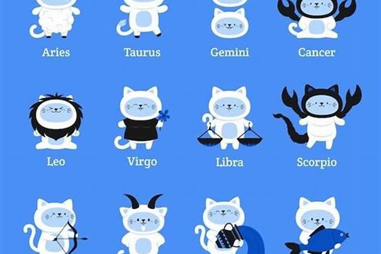 梦见被猫抓伤手和胸的预兆