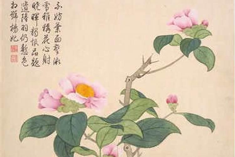 梦见滔天海水翻滚而至的预兆