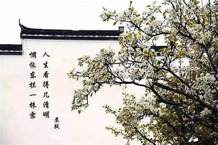 人生看得几清明。怎么解释这句话。