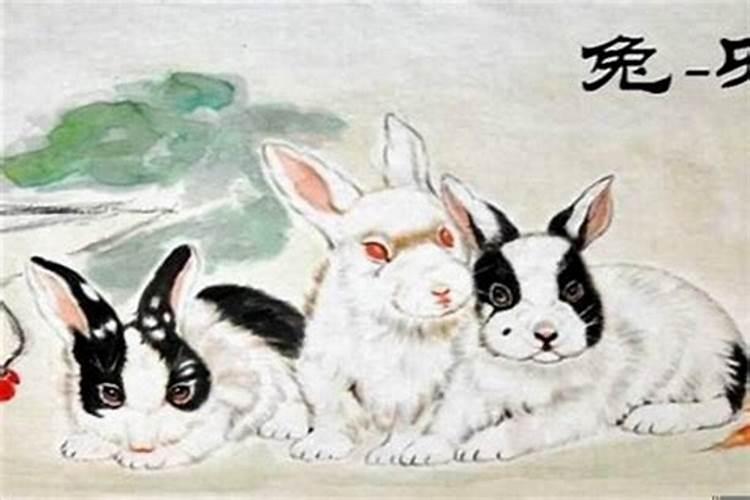兔年犯太岁的生肖戴什么首饰