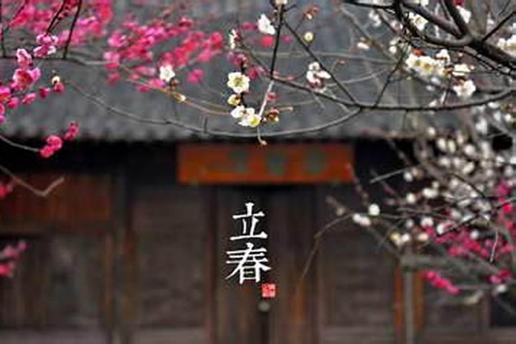 2025年立春是几月几日