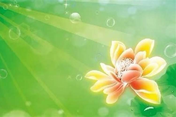 流年冲婚姻宫 如何分析婚姻宫的含义