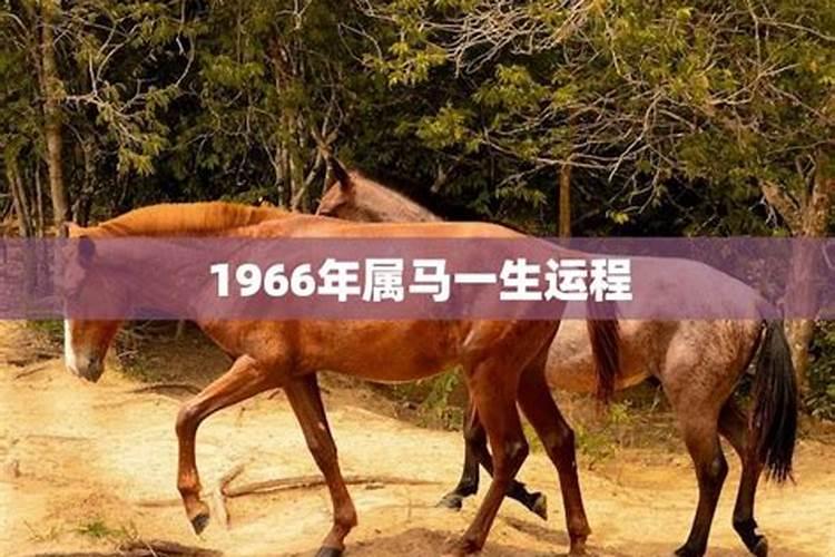 76年属龙人47岁后十年大运,76年龙未来十年运势如何