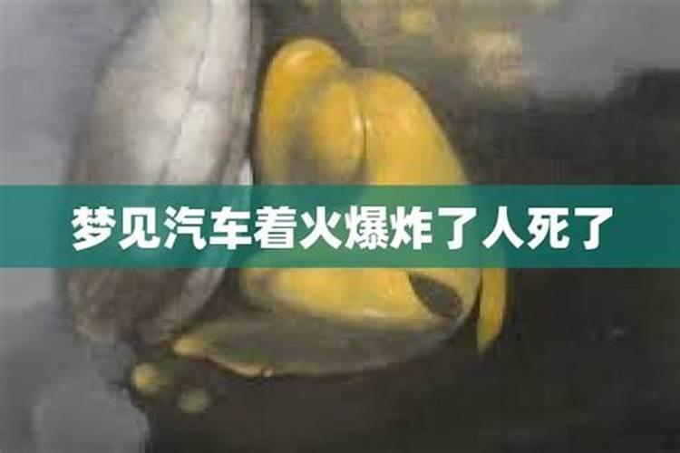 1976年属龙男性一生运程,76年属龙一生运势