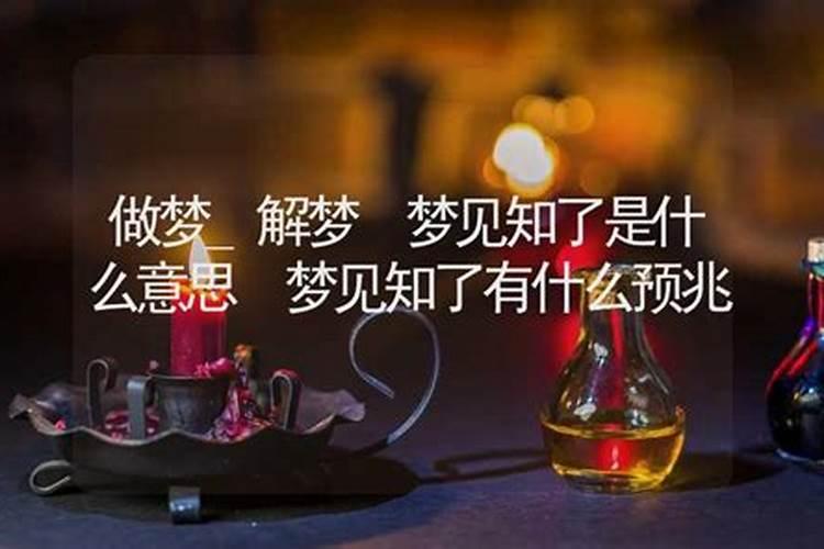 属鸡今年运势2025年每月运势