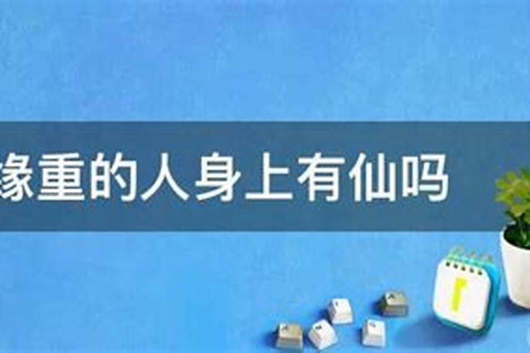 11月8号立冬吃什么