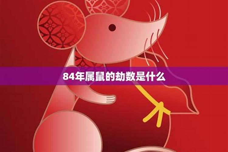 1984年5月初9午时出生的人的运程会怎样？