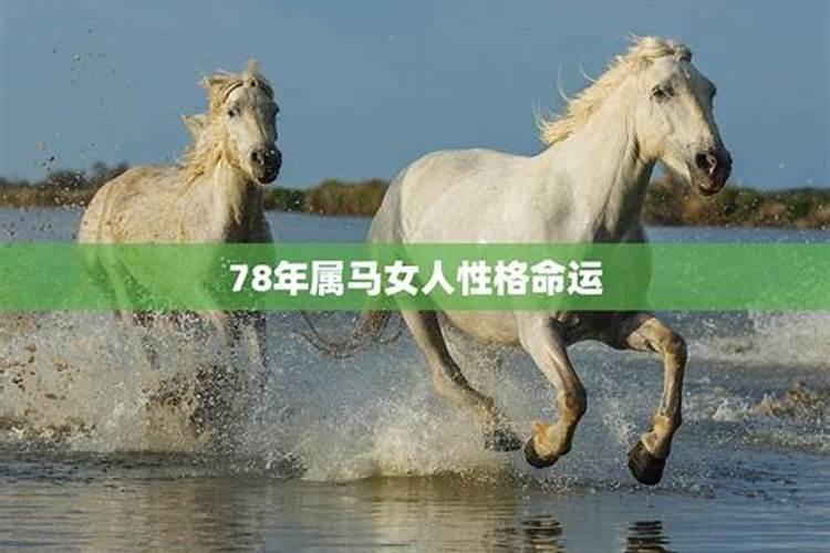 属马的人今年运势如何？