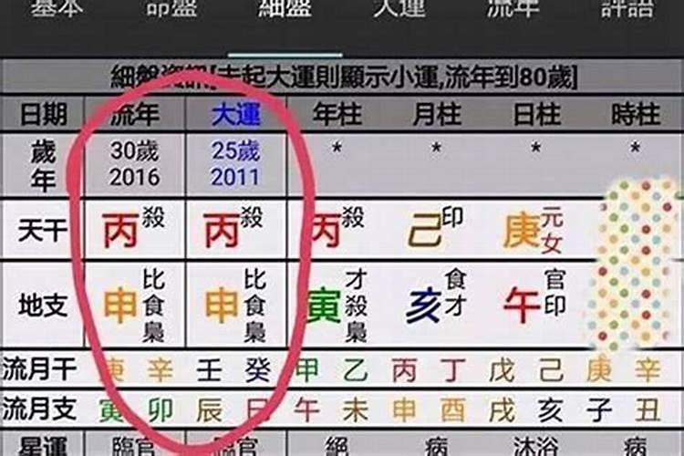 梦见蟒蛇爬家里不走