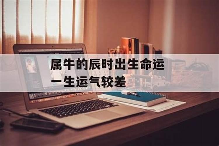 梦见上坟倒酒