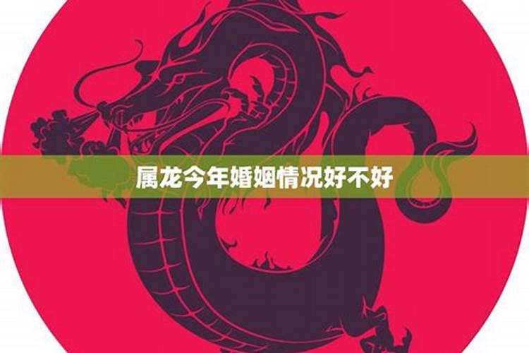 十月份运势与吉凶,今年属兔人的每月运势