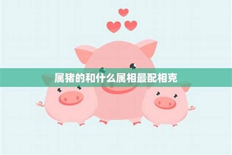 和情人怎么聊天可增进感情？