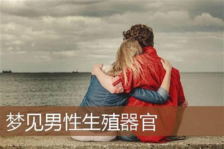 2025属羊人每月运势及运程如何