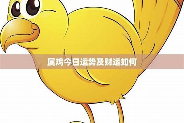 属鸡的今天打牌财运