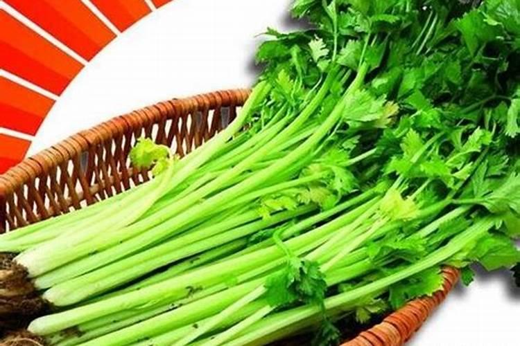 我出生在76年腊月二十六是属龙还是蛇