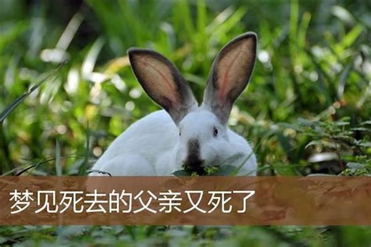 堕胎后应该念什么经超度孩子灵魂,为自己开运？