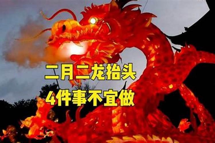 属鼠的人2025年运势及运程每月运势如何