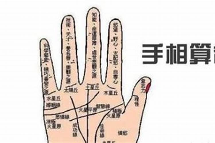 端午节是每年几月几日阳历