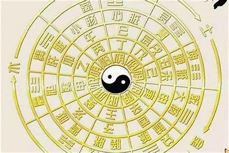 梦见黄瓜是很准的胎梦