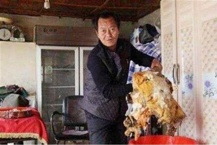 太岁是什么？挖到太岁之后该怎么处理？吃太岁肉会有凶兆吗？