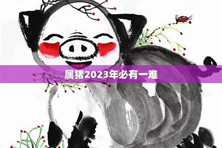 1983年属猪在2025蛇年的运气