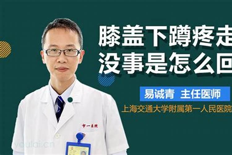 属兔今年多大属兔人全年运势？