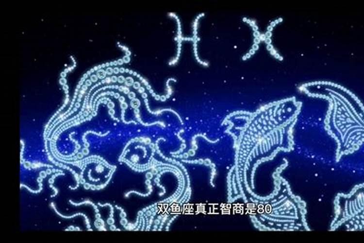 冬至主题活动方案设计方案