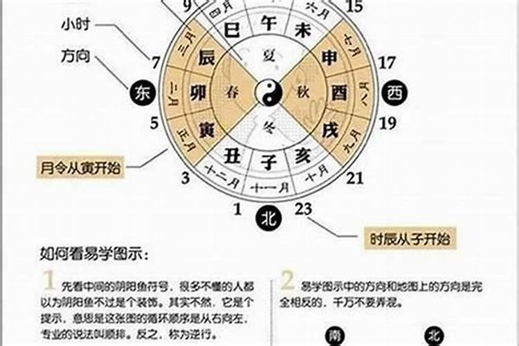 八字排盘怎么看怎样快速看懂八字排盘