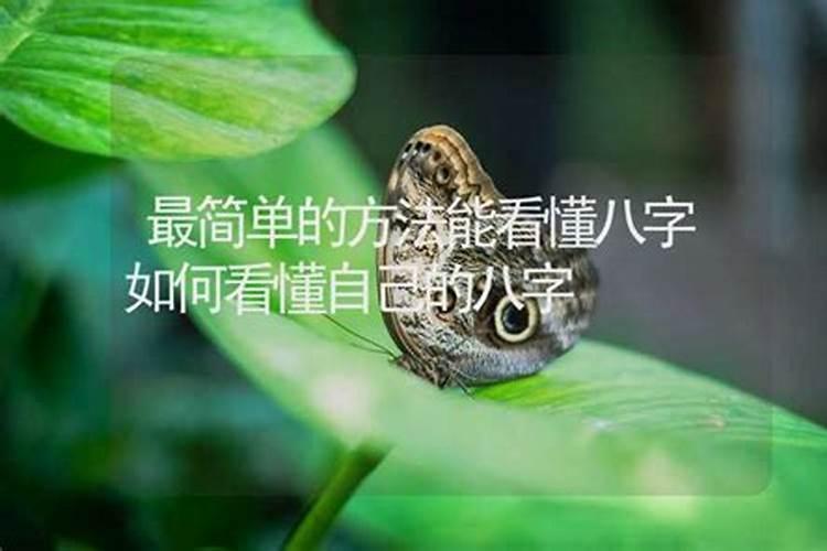 如何看生辰八字