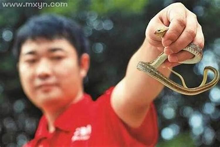 属蛇女2025年运势和财运怎么样
