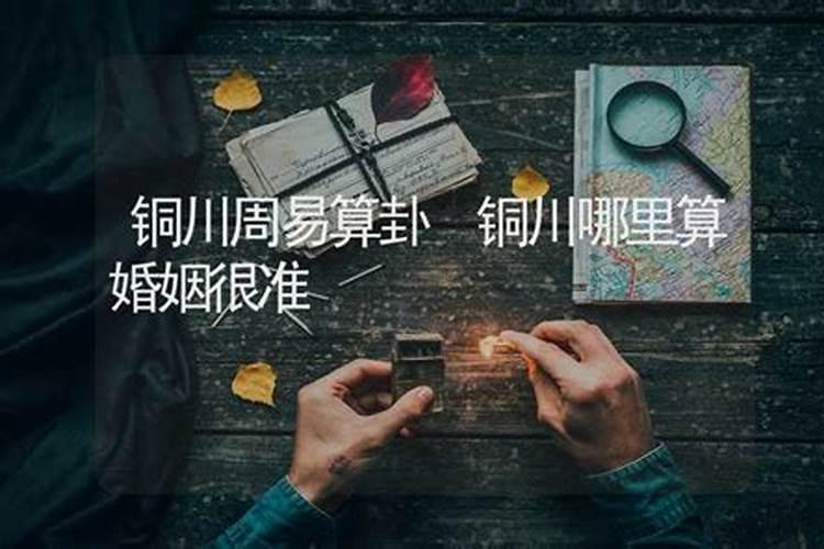 88年龙为什么不能配猪 猪为什么是龙的贵人