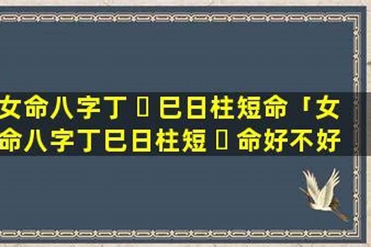 梦见很多老鼠跑来跑去是什么意思