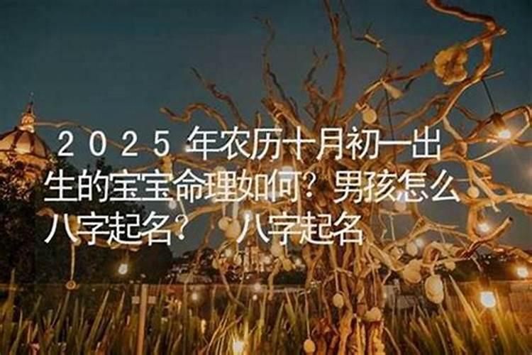 梦见厕所到处都是屎没处落脚