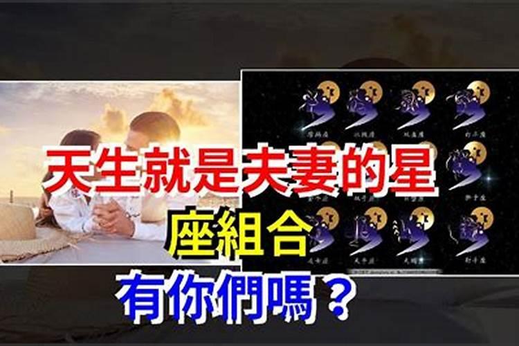 2025属鼠犯太岁吗 属鼠人2025年运势